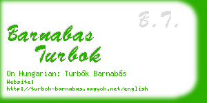 barnabas turbok business card